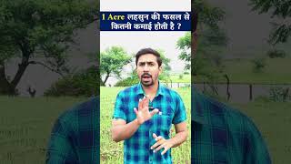 1 Acre लहसुन की फसल से कितनी आमदनी होती है  How much income is there from 1 acre garlic crop Part 1 [upl. by Irrehc]