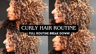 Big Bouncy Curly Hair Routine  3b  3c high porosity curls  How to get Definition and Volume [upl. by Dauf550]