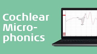 How to Record the Cochlear Microphonic CM [upl. by Ykceb]