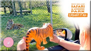 WEST MIDLAND SAFARI PARK April 2021  PostLockdown Family Day Out at WMSP [upl. by Yatnoj700]