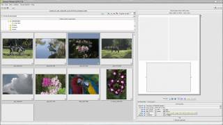 Qimage Ultimate  The Help System [upl. by Madelene]