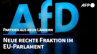 AfD gibt Gründung einer neuen Fraktion im EUParlament bekannt  AFP [upl. by Nyrmak584]