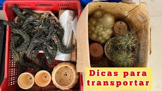 Transportando em segurança plantas e peças delicadas [upl. by Jeannine527]