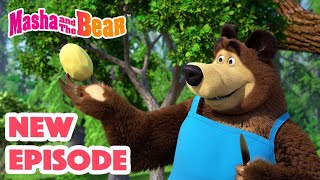 🔴 LIVE STREAM 🎬 Masha and the Bear 🐻🤣 Masha Said That It Was Okay 🤗👍 [upl. by Guillermo127]