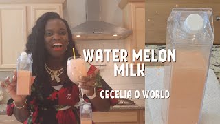 Watermelon Milk Best Hydrating Drink  Healthy Smoothies viral viralvideo [upl. by Babs]