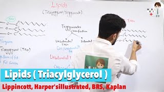 Lipids quotTriacylglycerolquot  ترای گلیسراید Biochemistry 11 [upl. by Aneed112]