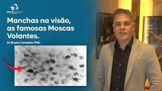 Manchas na visão as famosas Moscas Volantes [upl. by Hamnet]