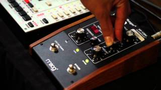 Moog Moogerfooger MF108M Cluster Flux wMonoMachine [upl. by Hoo938]