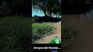 Arroyo kayakaventura argentina kayakeando pescakayak argentina arroyo [upl. by Akirdnwahs]