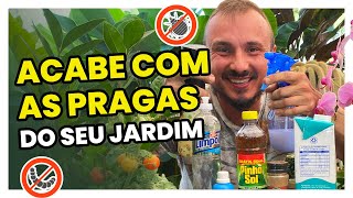 3 inseticidas caseiros para aplicar nas suas plantas  simples de fazer [upl. by Anyer]