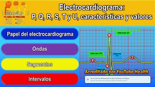 Electrocardiograma interpretación  Electrocardiograma  Ondas P Q R S T y U  Características [upl. by Ellienad]