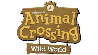 KK Condor Aircheck  Animal Crossing Wild World [upl. by Bruyn]