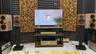 DIY Mode  MP50di  GM27 Clone  Speaker Vifa base [upl. by Ulphia567]