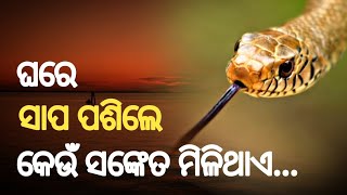 ଘରେ ସାପ ପଶିଲେ କେଉଁ ସଙ୍କେତ ମିଳେ  Ghare Sapa Pasile Keun Sanketa Mile [upl. by Imuy]