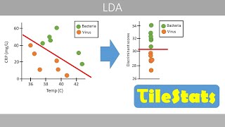 Linear discriminant analysis LDA  simply explained [upl. by Agamemnon]