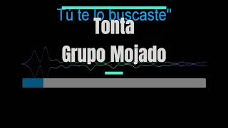 Karaoke  Tonta  Grupo Mojado [upl. by Idnod]