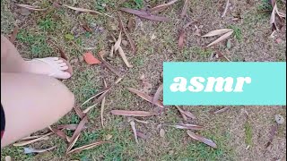 asmr andando grama folhas calçada  walking grass leaves sidewalk [upl. by Eleinad]