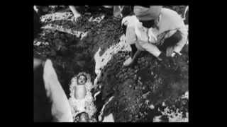 Diane Wilson explains the 1984 Bhopal disaster [upl. by Land]