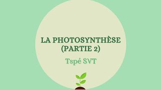 La photosynthèse partie 2  Tspé SVT [upl. by Shiekh]