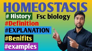 Homeostasis  Homeostasis physiology  Homeostasis and negativ positive feedback Biologylectures177 [upl. by Castorina]