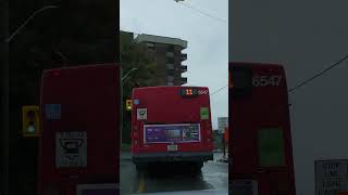 Is it legal to not signal when turning right in Ontario 👏 OC Transpo Bus shorts [upl. by Eibrik]