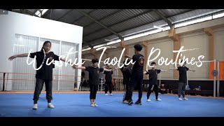 Wushu Basic Training [upl. by Nahsab296]