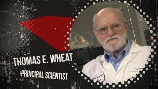 Tom Wheat How to perform amino acid analysis  Behind the Science [upl. by Saunder]