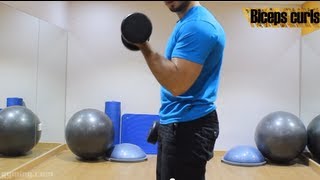 شرح تمرين biceps curls للمبتدئين  Gymingcom [upl. by Notlrac]