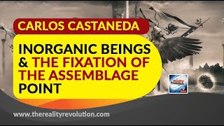 Carlos Castaneda Inorganic Beings And The Fixation Of The Assemblage Point [upl. by Aicaca]