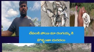 చేపలకి పోయి మా రంగయ్య కి వొల్లంత దురదలు village villagefishing fishing villagelife [upl. by Eeuqram]