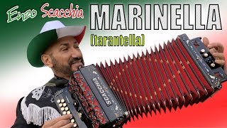 MARINELLA tarantella di ENZO SCACCHIA CAMPIONE DEL MONDO DI ORGANETTO folk music tarantella dance [upl. by Ada]