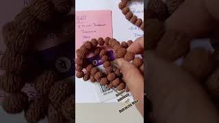 8 Mukhi Rudraksha Mala  ८ मुखी रुद्राक्ष माला price or rudraksh 8mukhirudraksha [upl. by Francisca]