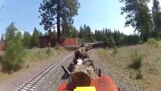 Hauling Logs atTM HD [upl. by Roscoe]