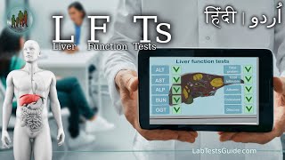 Liver Function Tests LFTs  What You Need to Know [upl. by Kalie]