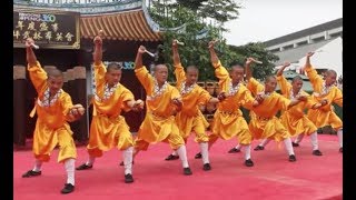 Shaolin Kungfu Masters [upl. by Aimet994]