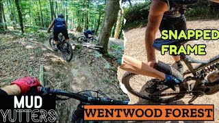 WENTWOOD FORESTSNAPPED FRAME steep tech offpiste walesmtb mtb [upl. by Sabra467]