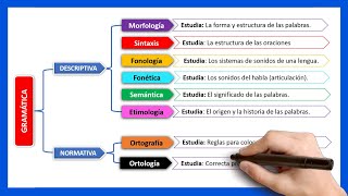 📘​Qué es la GRAMÁTICA y sus disciplinas  La Gramática Descriptiva y Normativa [upl. by Akisey688]