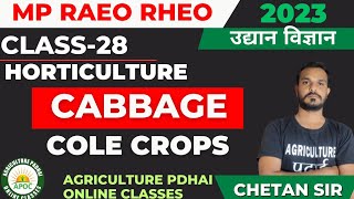 Class28  Cabbage  Cole Crops  Horticulture  MP RAEO  RHEO  SADO  ATM  BTM  By Chetan Sir [upl. by Sitoel55]