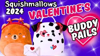 Squishmallow Valentines Buddy Buckets  Hunting For Valentines Day Squishmallows 2024 [upl. by Aneema668]