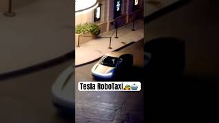 Tesla Unveiled the RoboTaxi and More 😳👀 [upl. by Elianora307]