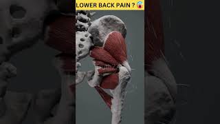 What is Lower Back Pain  Animation  Health Facts health facts [upl. by Htrap]