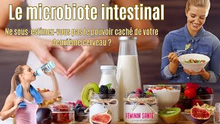 Le microbiote intestinal  Ne sousestimezvous pas le pouvoir caché de votre deuxième cerveau [upl. by Eessac999]