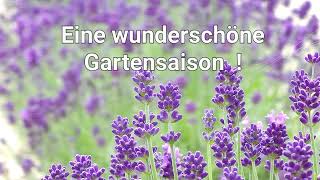 Eine wunderschöne Gartensaison [upl. by Neomah]