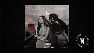 Follow The White Rabbit  Madison Beer Feat CORPSE RemixMashup [upl. by Annunciata55]