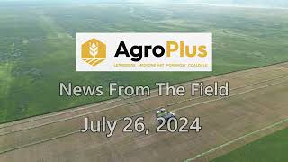 AgroPlus News from the field July 26 2024 [upl. by Nnylhsa827]