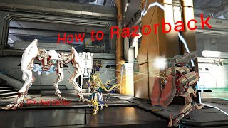 How to Razorback AKA Nyxs Only Purpose [upl. by Ahseek]