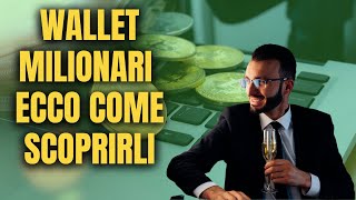 COME CONTROLLARE I WALLET DEI MILIONARI DELLE CRYPTO [upl. by Ecnarretal]