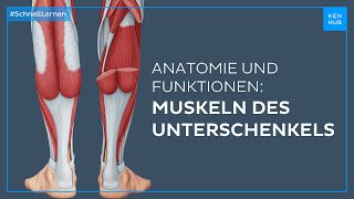 Unterschenkelmuskeln Anatomie und Funktion einfach erklärt  Kenhub [upl. by Patnode]