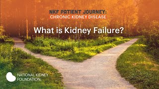 Living Well with Kidney Failure Part 1 What is Kidney Failure [upl. by Masson]