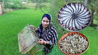 মাঠ থেকে চিংড়িমাছ ধরে কচুর লতি দিয়ে রান্না করলাম সাথে সরষে পাবদা রেসিপি  fish curry recipe [upl. by Sweyn]